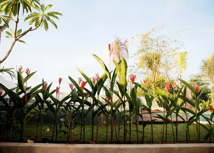 Vanilla Suite Jimbaran