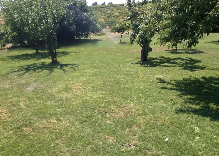 Quinta Da Pereira E Enricas Agro-Turismo Hotel Vila Flor