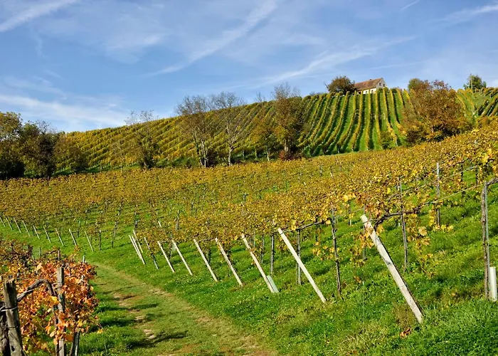 Zirngast Weingut-Buschenschank-Gästezimmer Leutschach