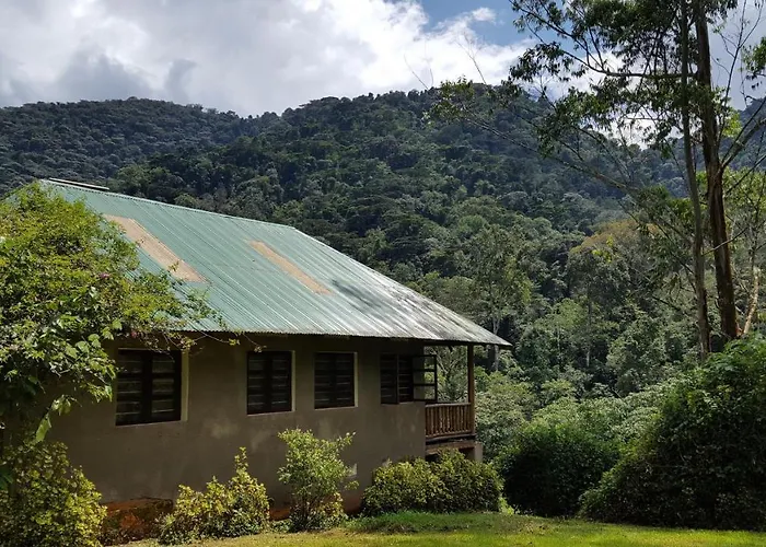Bwindi Guest House Kanungu