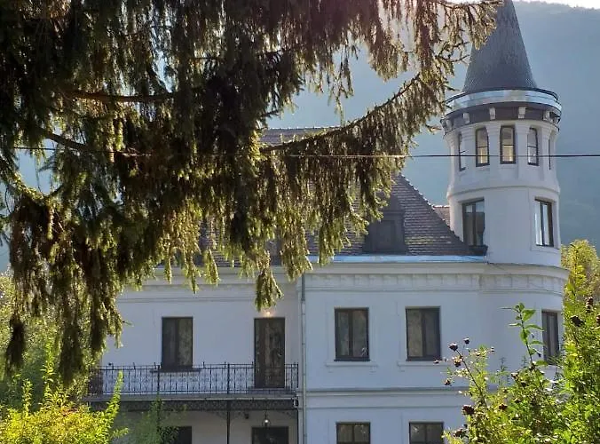 Vila Micul Castel