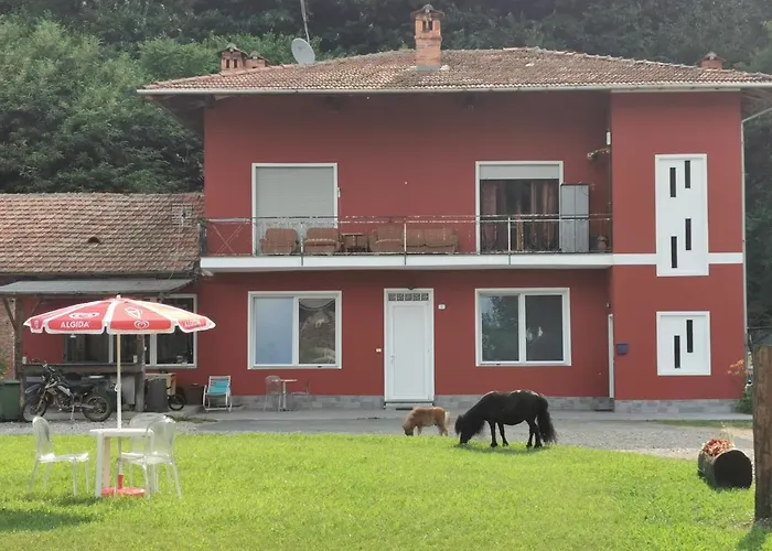 The Horse