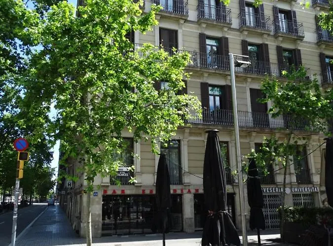 592 - Adults Only